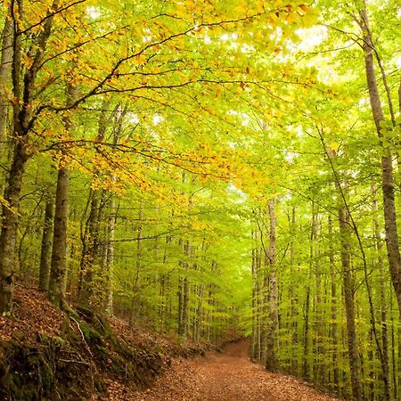 Arcadas Da Vila Manteigas Dış mekan fotoğraf